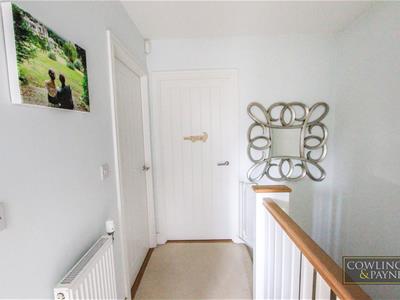 Picture 16